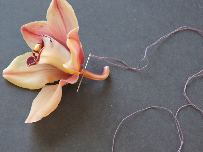 orchid with thread through stem