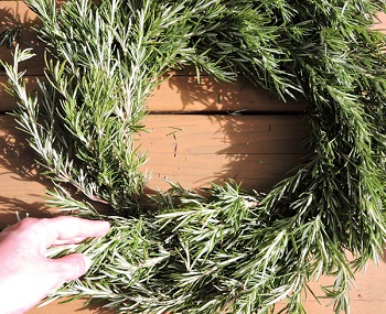 hand showing how to tuck last bunch of rosemary 