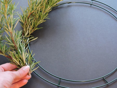 hand laying second bundle of rosemary on top of first