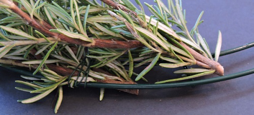 close up of overlap spacing between rosemary bunches