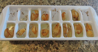 example of brown unappetizing ice cubes