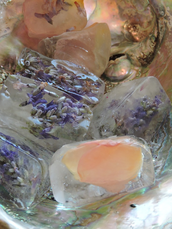 close up of rose and lavender ice cubes sitting in abalone shell