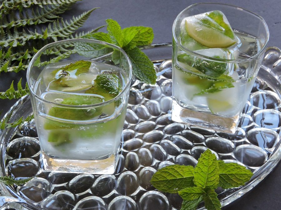 mint leaves and lime slices in ice cubes fresh water