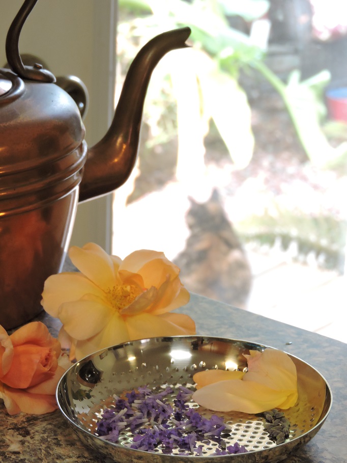 Rose petals and lavender blossoms in front of a bronze teapot