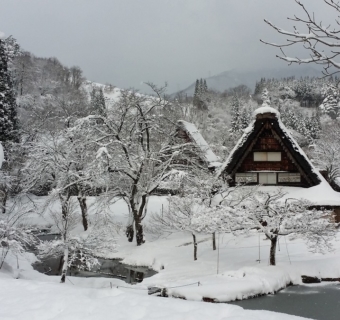 Japan In Winter