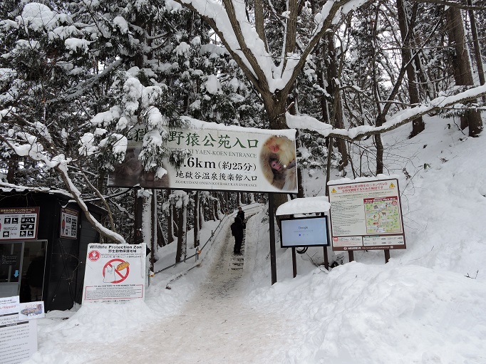 entrance to monkey onsen trail