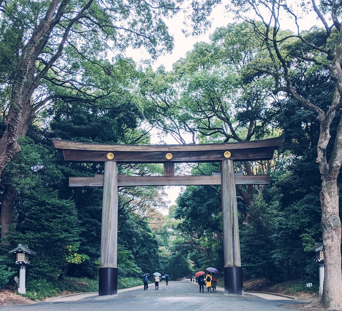 entrance torii gate to Meiji Jingu shrine