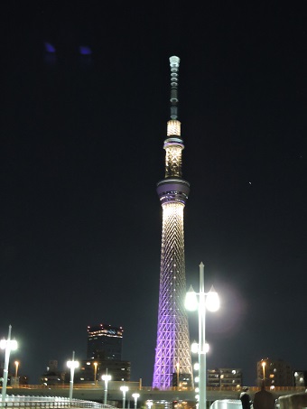 skytree lit up at night