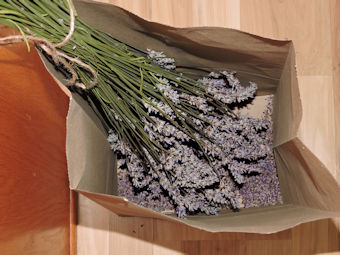 dried lavender in paper bag