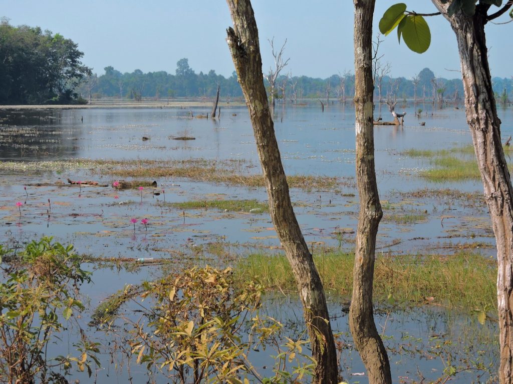 one of the lake like Barays of angkor