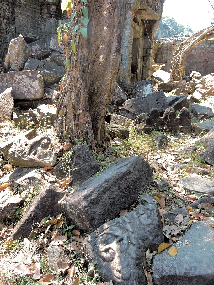 stones strewn about the ground