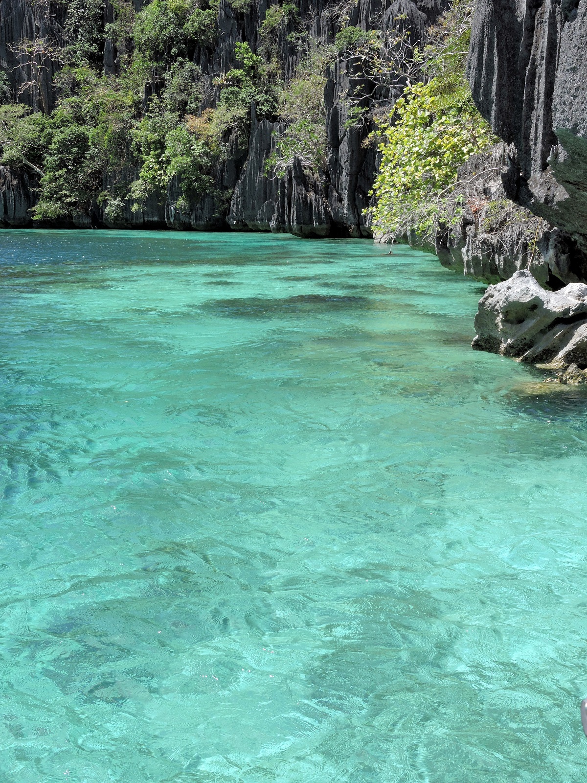 aqua blue water and sheer rock clifs