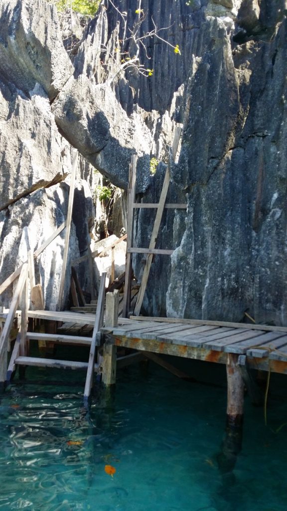 wooden ladder stairs up to barracuda lake