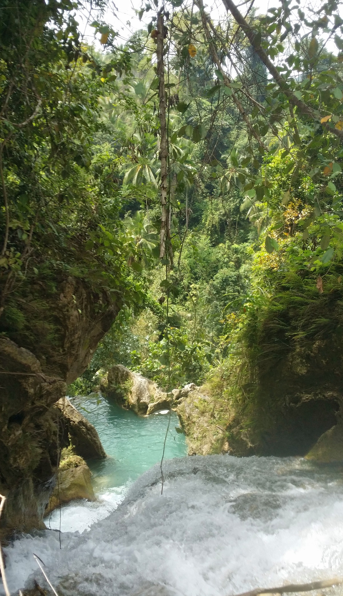 top level of Inambakan falls looking down jungle background