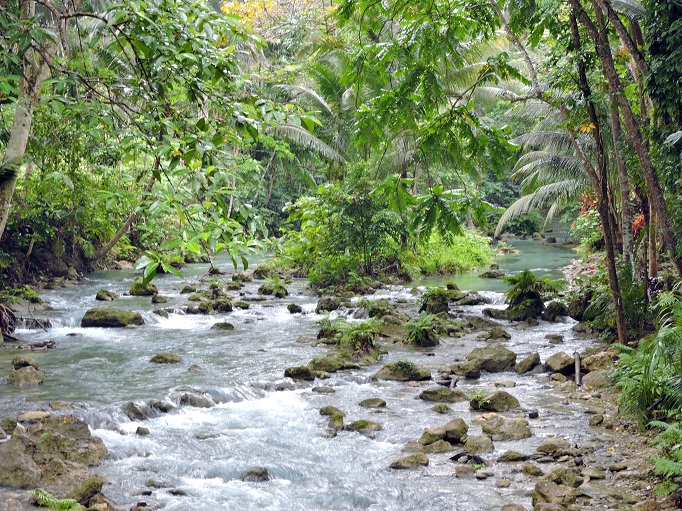 river running along trail to Kawasan falls lush jungle trees