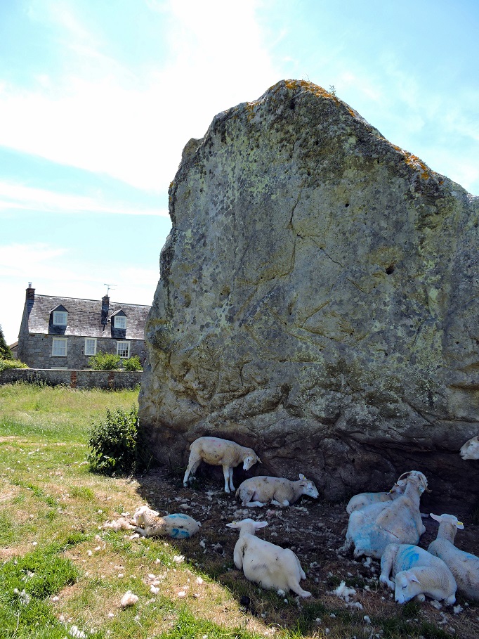 one very large stone with sheep and stone house