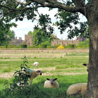 A Day Trip to the Etruscan Necropolis of Banditaccia in Cerveteri