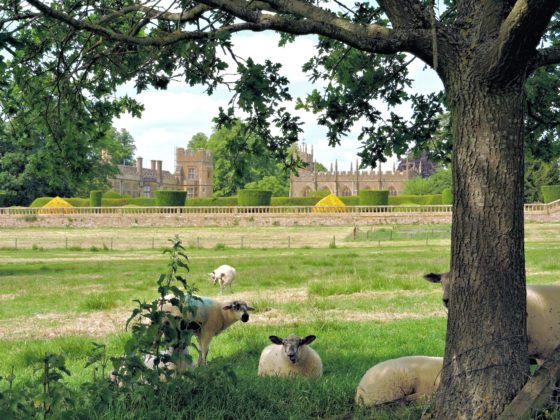 Traveling the Cotswold Way:  From Winchcombe to Chipping Campden