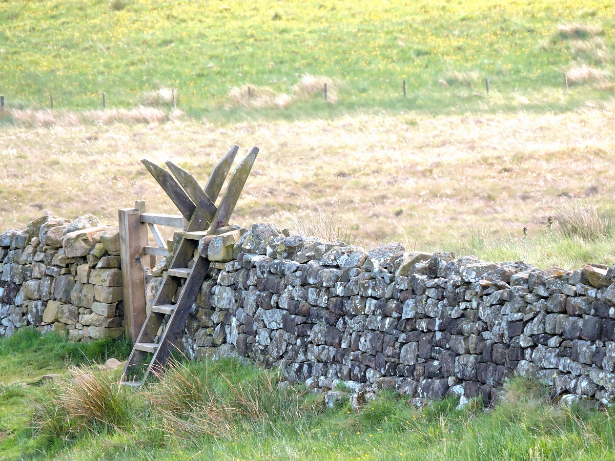 wooden-ladder-over-rock-wall