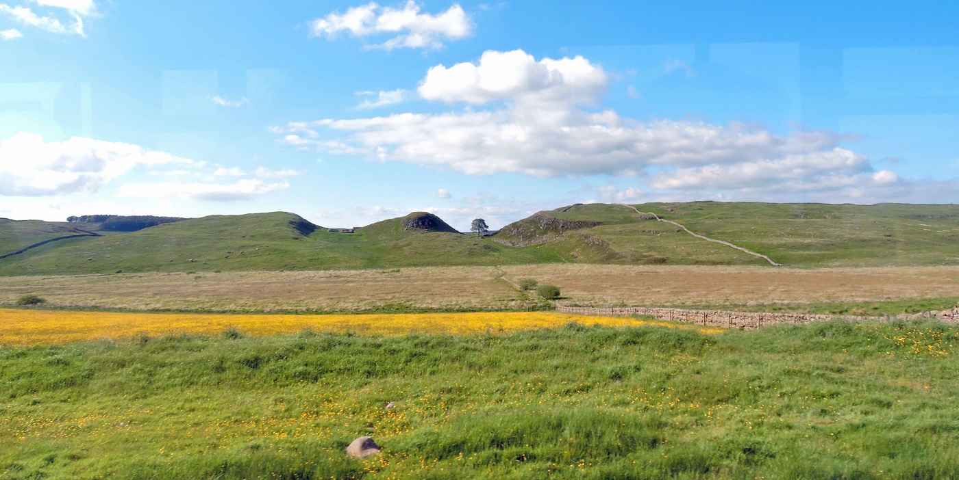 panoramic view of hadrian's wall with scycamore gap