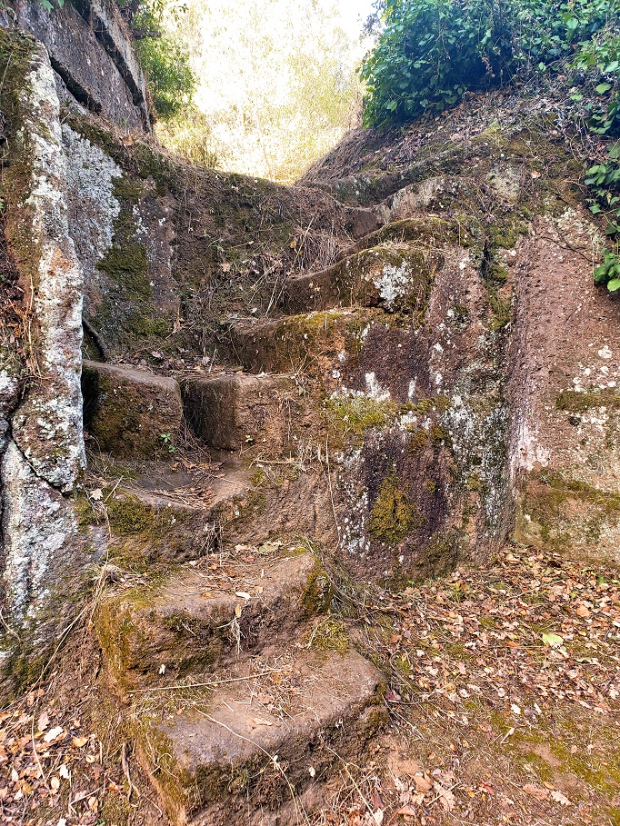 stone steps along trail