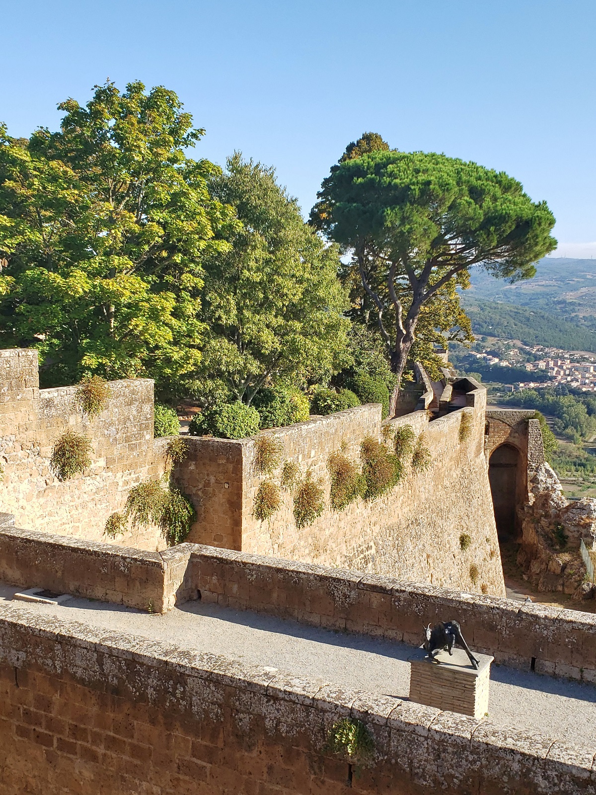 view down walls with trees