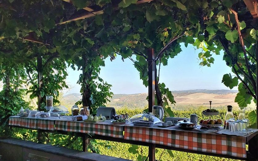 breakfast buffet with a view