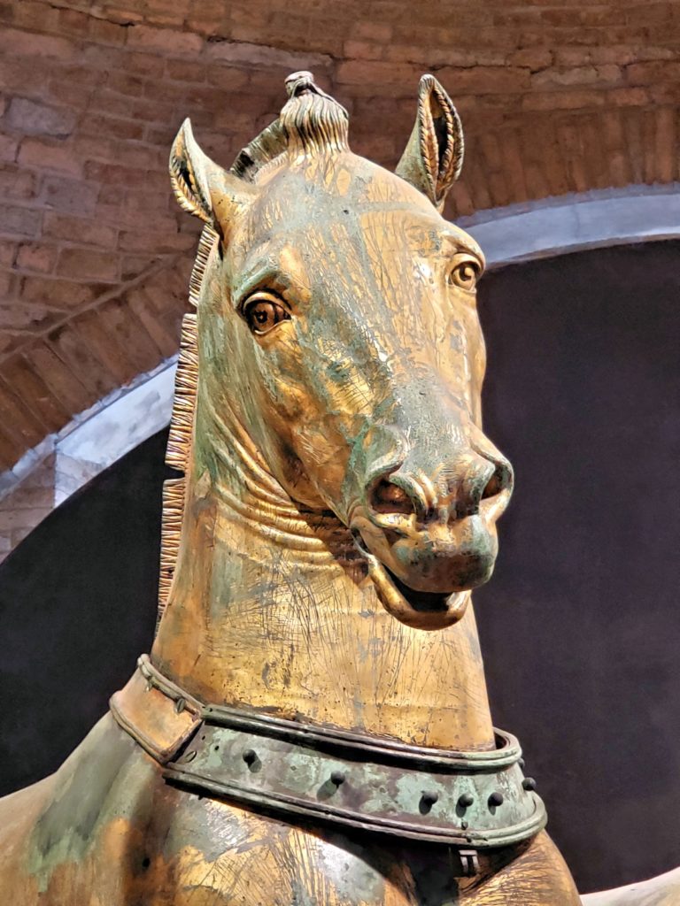 bronze horse close up eyes