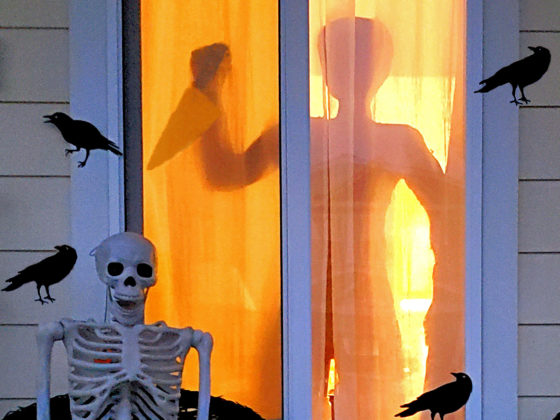Easy Halloween Decorations: The Shadow Slasher & Attack of the Crows