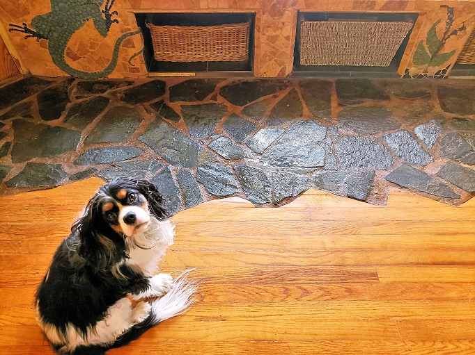 slate floor mixed with wood floor