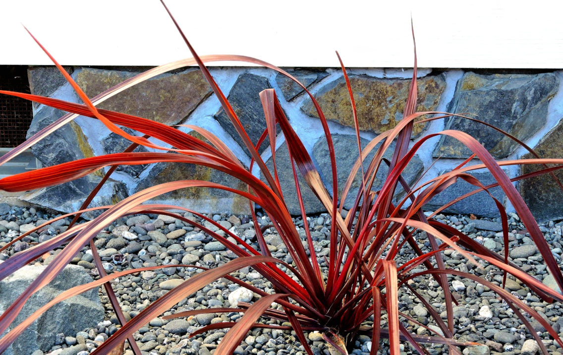 Slating My Foundation:  How I Covered My Home’s Foundation with Beautiful Stone Slate