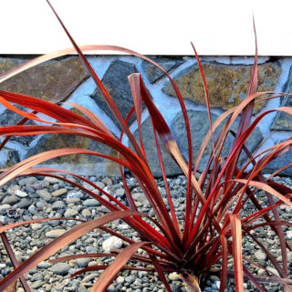 Easy Halloween Decorations: The Shadow Slasher & Attack of the Crows