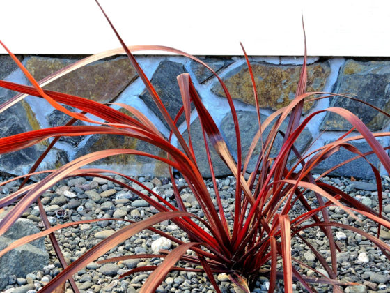 Slating My Foundation:  How I Covered My Home’s Foundation with Beautiful Stone Slate