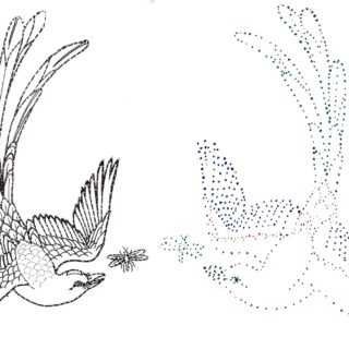 Embroidery Transfer Techniques