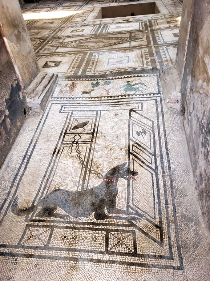 mosaic floor of a chained dog and other geometric designs and animals