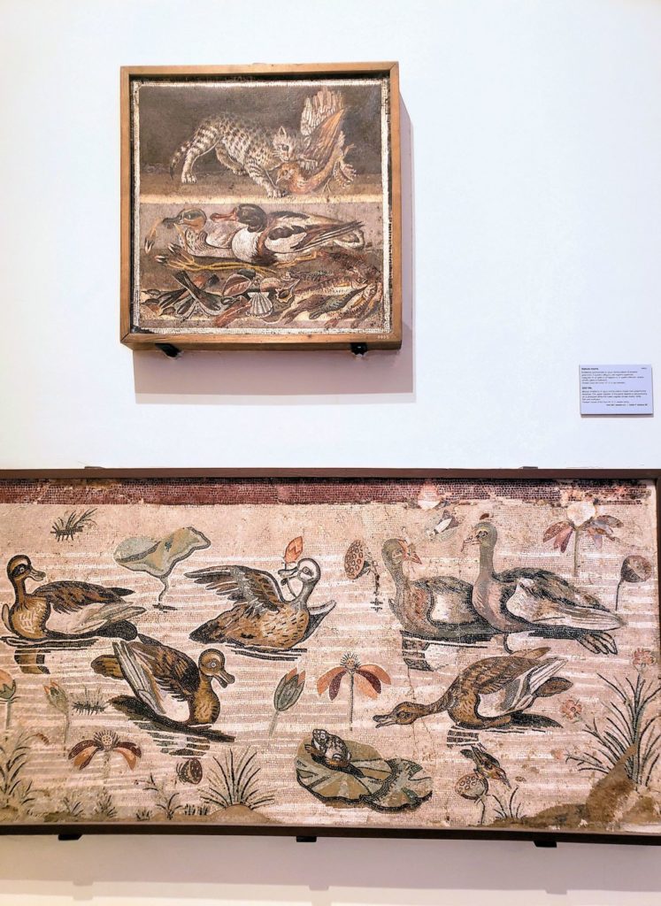 mosaic with cat and waterfowl ducks from Pompeii