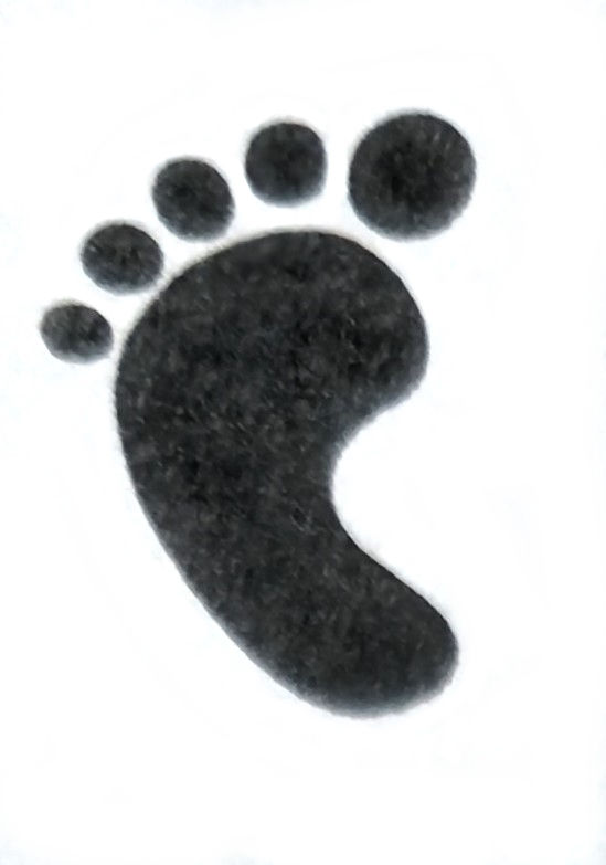 left foot print symbol