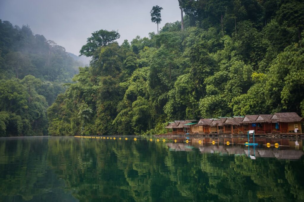 floating bungalows on a jungle lake