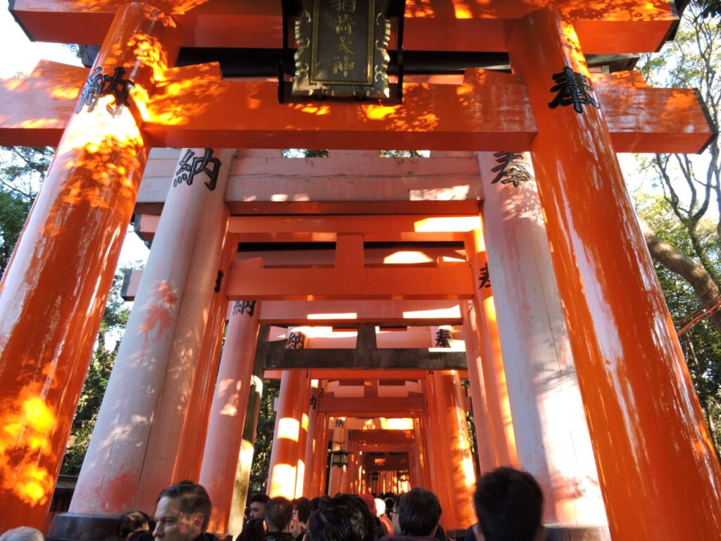 red orange pillars called Tori gates