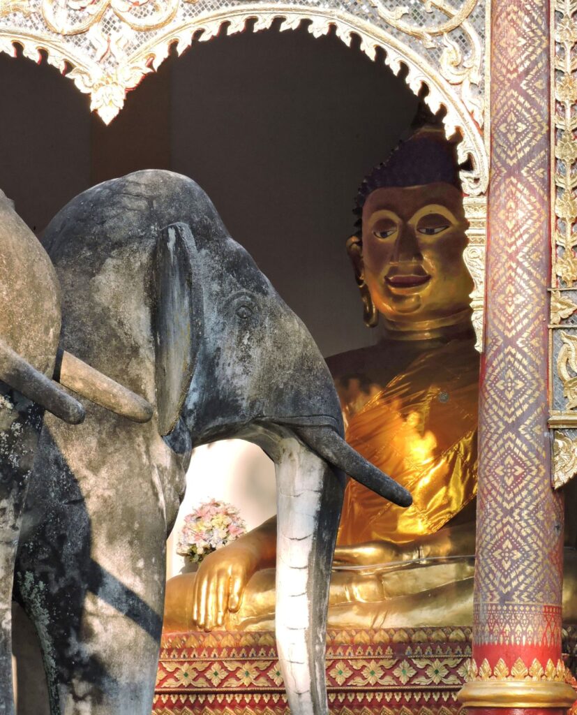 gold buddha and stone elephant temple