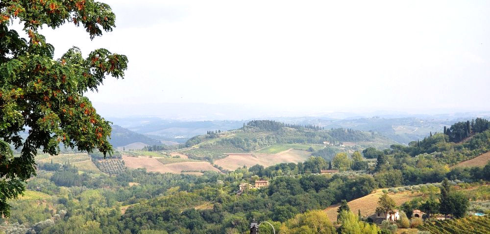 view from vineyard of tuscany countryside