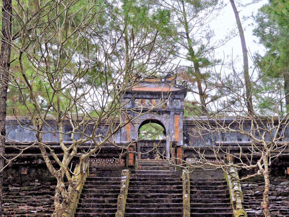 stone stairs lead to tomb in pine forest