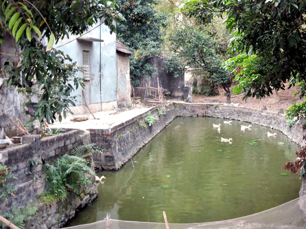 small stone duck pond next to house